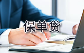 泰安保单贷